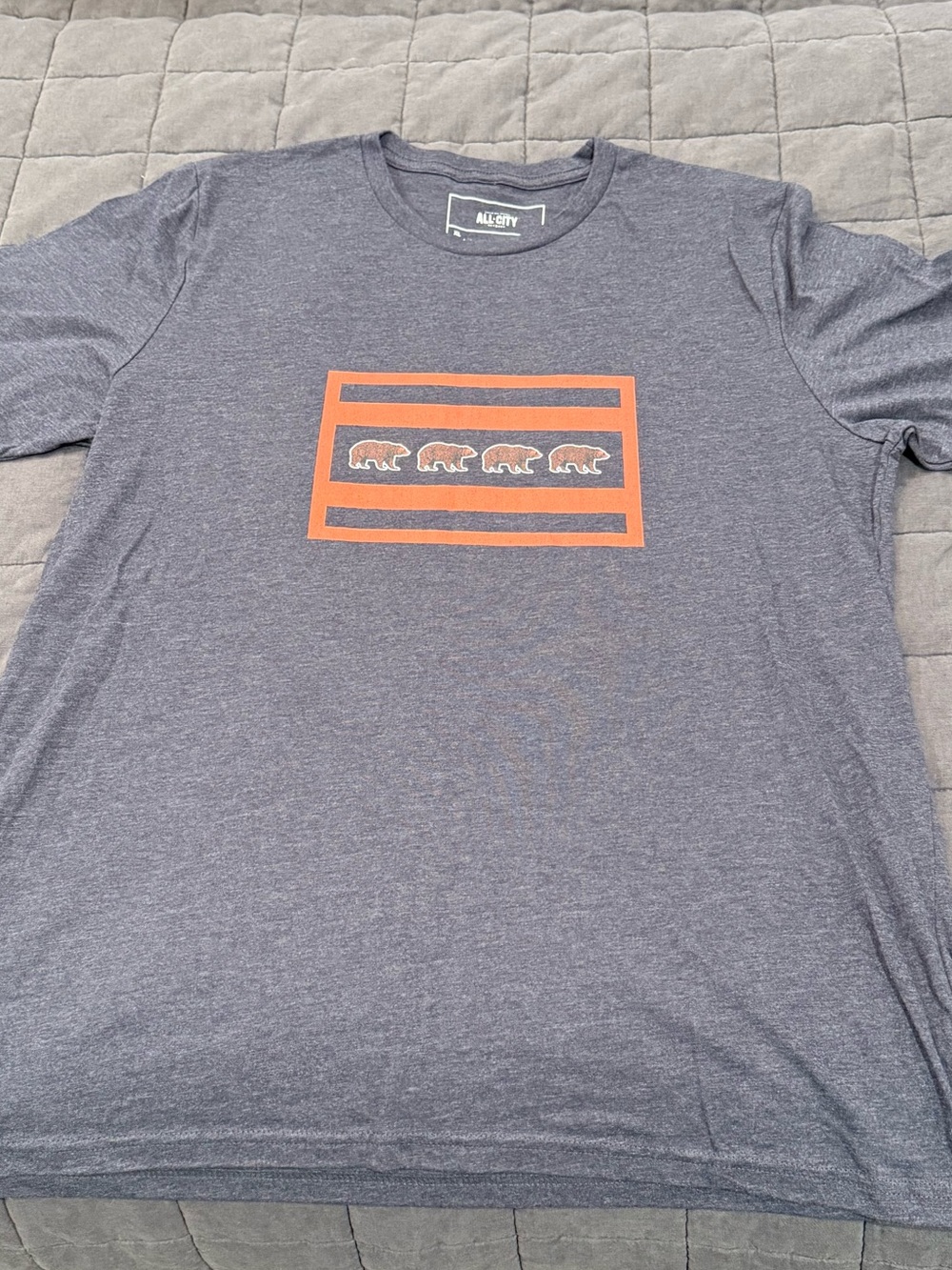All City Chicago Football Graphic Tee - Orange Bear Stripe (XL) NWT